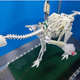 Caudipteryx robot for testing passive flapping flight.